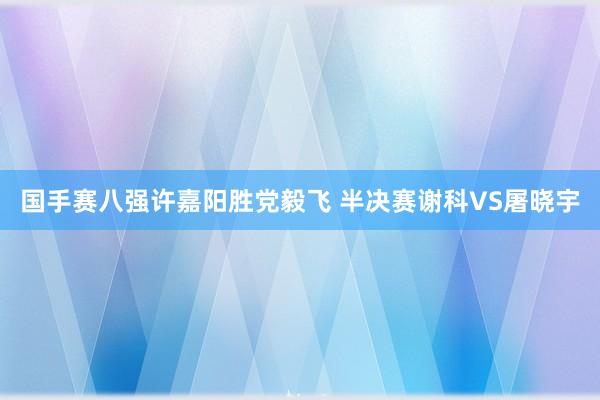   国手赛八强许嘉阳胜党毅飞 半决赛谢科VS屠晓宇