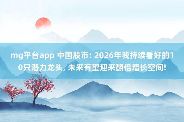 mg平台app 中国股市: 2026年我持续看好的10只潜力龙头, 未来有望迎来翻倍增长空间!