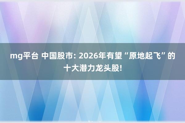 mg平台 中国股市: 2026年有望“原地起飞”的十大潜力龙头股!