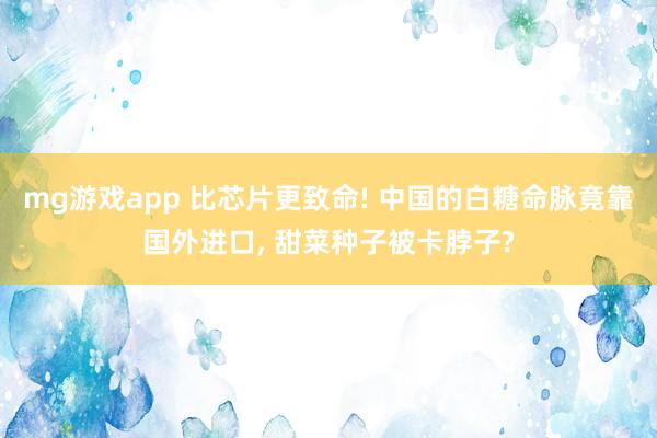 mg游戏app 比芯片更致命! 中国的白糖命脉竟靠国外进口, 甜菜种子被卡脖子?