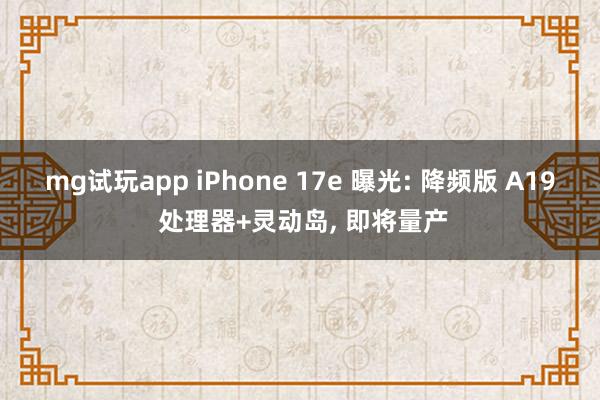 mg试玩app iPhone 17e 曝光: 降频版 A19 处理器+灵动岛, 即将量产