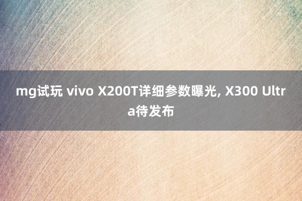mg试玩 vivo X200T详细参数曝光, X300 Ultra待发布