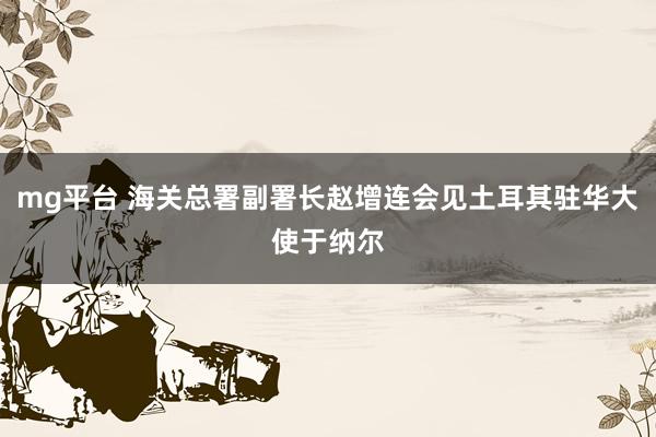 mg平台 海关总署副署长赵增连会见土耳其驻华大使于纳尔