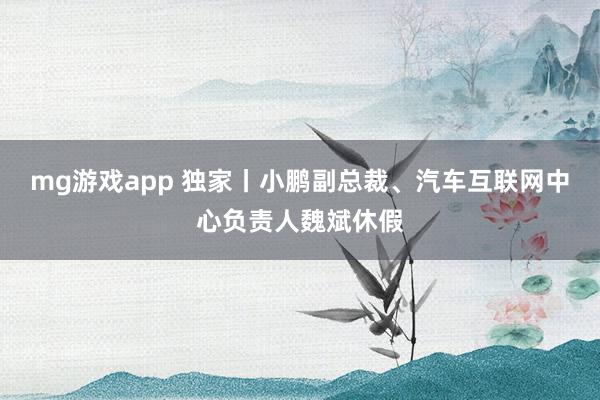mg游戏app 独家丨小鹏副总裁、汽车互联网中心负责人魏斌休假