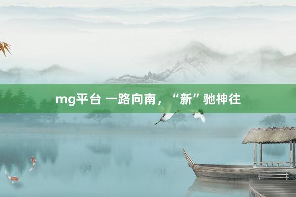 mg平台 一路向南，“新”驰神往