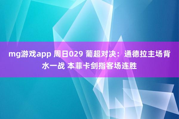 mg游戏app 周日029 葡超对决：通德拉主场背水一战 本菲卡剑指客场连胜