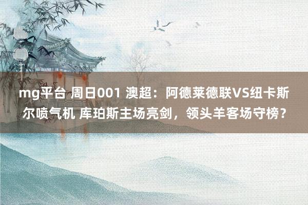 mg平台 周日001 澳超：阿德莱德联VS纽卡斯尔喷气机 库珀斯主场亮剑，领头羊客场守榜？
