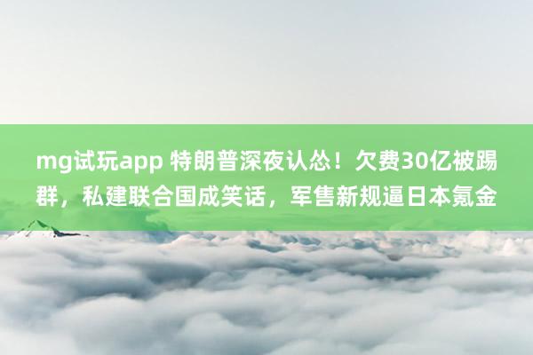 mg试玩app 特朗普深夜认怂！欠费30亿被踢群，私建联合国成笑话，军售新规逼日本氪金