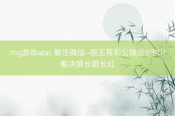 mg游戏app 眷注微信-狼王荐彩公推近6中5！看决策长跟长红