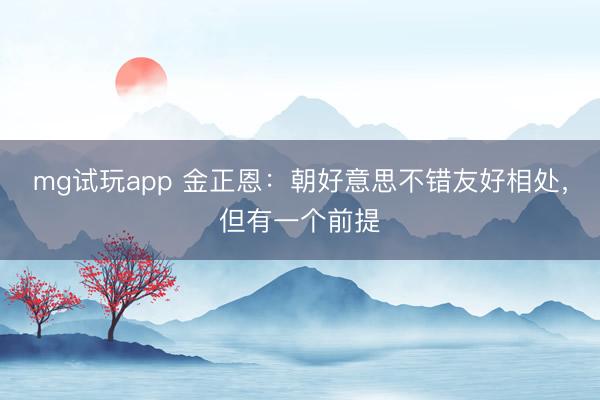 mg试玩app 金正恩:朝好意思不错友好相处,但有一个前提